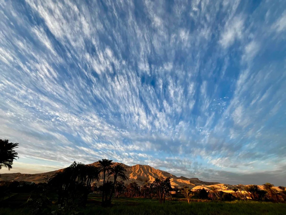 Mackerel sky over palms and the Theban mountains at sunrise